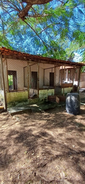 Fazenda à venda, 63 ha em Luziânia-GO, Porteira fechada-GADO: 4ª foto da galeria de imagens do imóvel