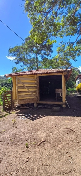 Fazenda à venda, 63 ha em Luziânia-GO, Porteira fechada-GADO: 20ª foto da galeria de imagens do imóvel