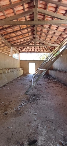 Fazenda à venda, 63 ha em Luziânia-GO, Porteira fechada-GADO: 6ª foto da galeria de imagens do imóvel