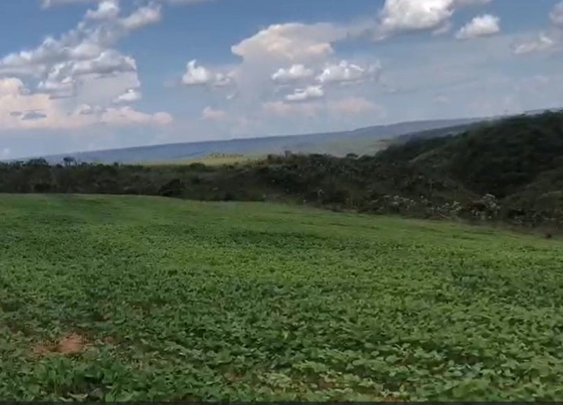 Fazenda à venda, 556,6 Ha, em São João d’Aliança-GO, plantando 190 ha: 4ª foto da galeria de imagens do imóvel