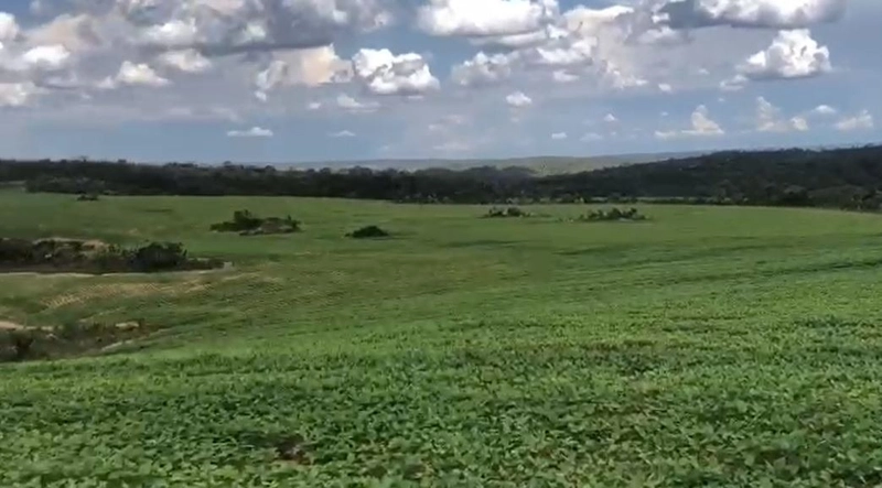 Fazenda à venda, 556,6 Ha, em São João d’Aliança-GO, plantando 190 ha: 1ª foto da galeria de imagens do imóvel