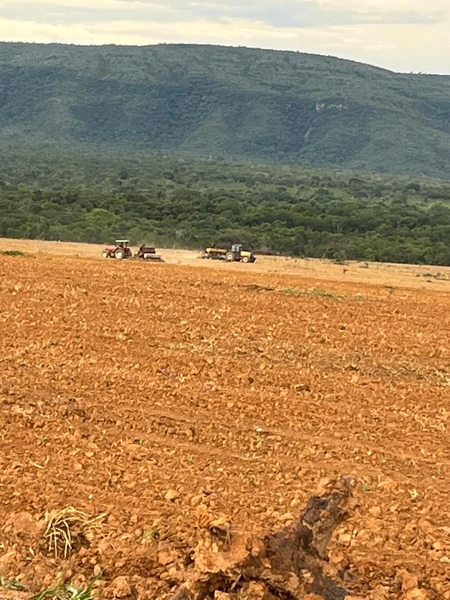 Excelente fazenda à venda em Buritis-MG. - PRONTA PARA TRABALHAR: 10ª foto da galeria de imagens do imóvel