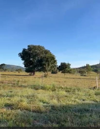 Excelente fazenda à venda em Buritis-MG. - PRONTA PARA TRABALHAR: 6ª foto da galeria de imagens do imóvel
