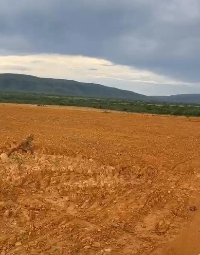 Excelente fazenda à venda em Buritis-MG. - PRONTA PARA TRABALHAR: 3ª foto da galeria de imagens do imóvel