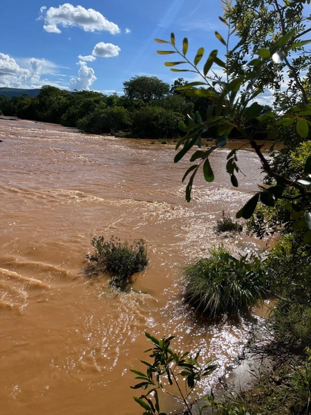 Excelente fazenda à venda em Buritis-MG. - PRONTA PARA TRABALHAR: 12ª foto da galeria de imagens do imóvel