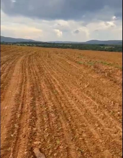 Excelente fazenda à venda em Buritis-MG. - PRONTA PARA TRABALHAR: 1ª foto da galeria de imagens do imóvel