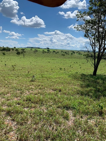 Fazenda VENDO – TROCO em Guiratinga-MT - 934 hectare SOJA-MILHO-SORGO: 9ª foto da galeria de imagens do imóvel