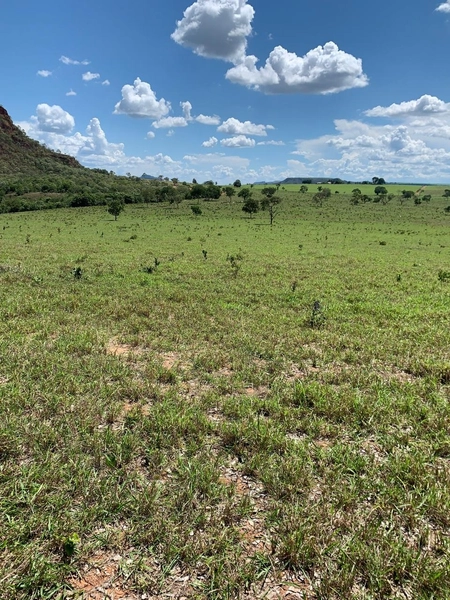 Fazenda VENDO – TROCO em Guiratinga-MT - 934 hectare SOJA-MILHO-SORGO: 4ª foto da galeria de imagens do imóvel