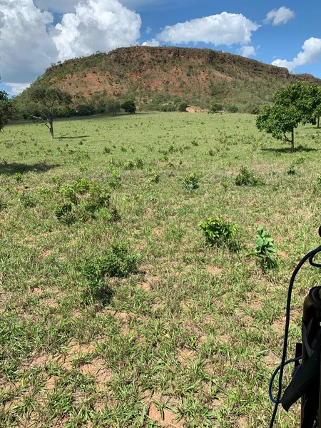 Fazenda VENDO – TROCO em Guiratinga-MT - 934 hectare SOJA-MILHO-SORGO: 11ª foto da galeria de imagens do imóvel