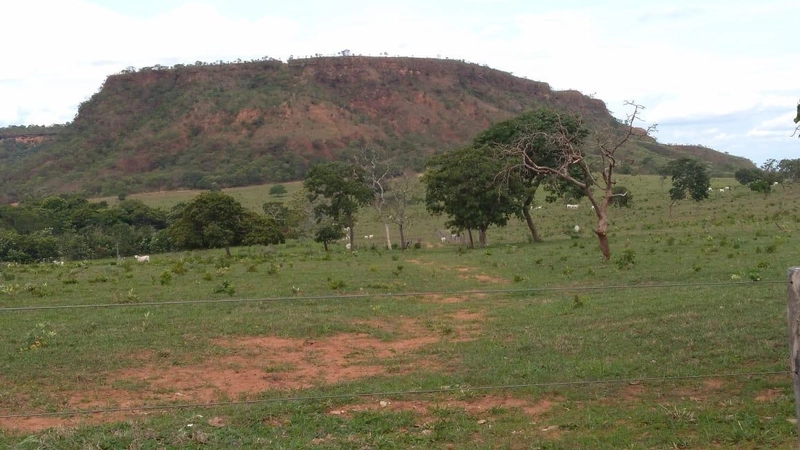 Fazenda VENDO – TROCO em Guiratinga-MT - 934 hectare SOJA-MILHO-SORGO: 7ª foto da galeria de imagens do imóvel