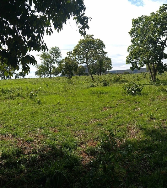 Fazenda VENDO – TROCO em Guiratinga-MT - 934 hectare SOJA-MILHO-SORGO: 5ª foto da galeria de imagens do imóvel