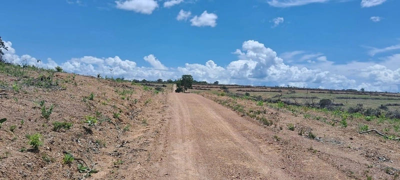 Arrendamento para SOJA em Padre. Bernardo: 5ª foto da galeria de imagens do imóvel