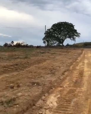 Arrendamento para SOJA em Padre. Bernardo: 4ª foto da galeria de imagens do imóvel