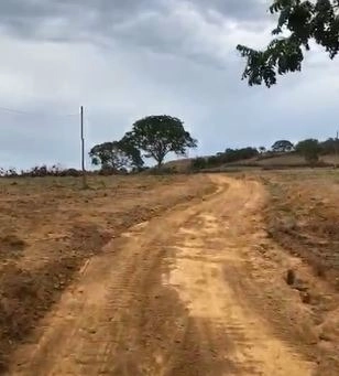 Arrendamento para SOJA em Padre. Bernardo: 3ª foto da galeria de imagens do imóvel