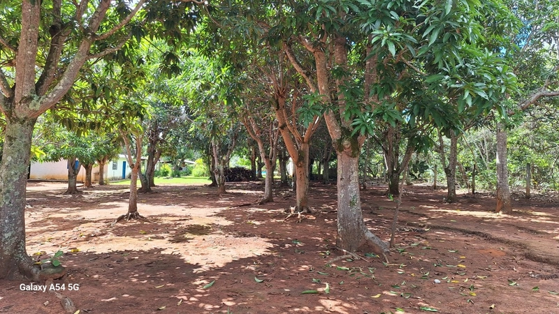 Chácara de 20.000m² em São Gabriel-GO: 17ª foto da galeria de imagens do imóvel