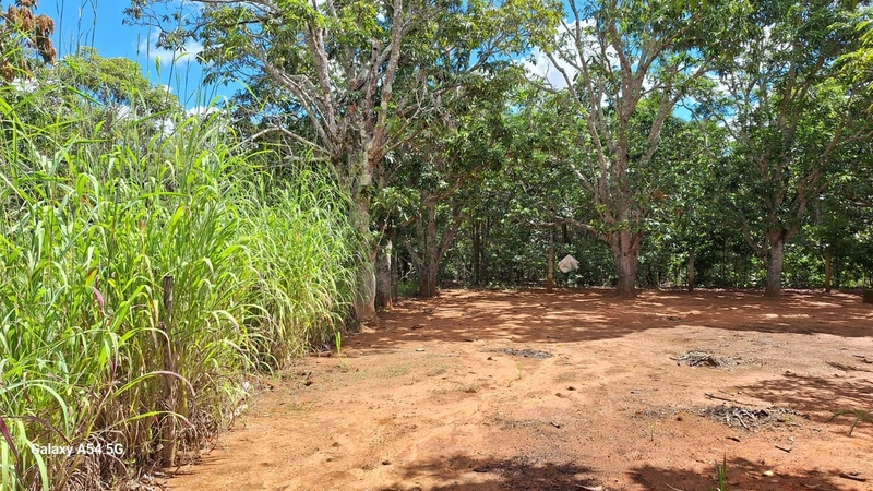 Chácara de 20.000m² em São Gabriel-GO: 19ª foto da galeria de imagens do imóvel