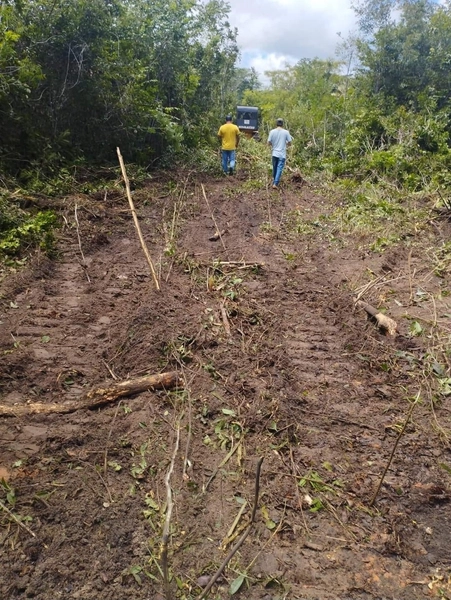 Mega Fazenda em Caxias-MA: 5ª foto da galeria de imagens do imóvel