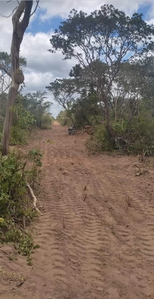 Mega Fazenda em Caxias-MA: 7ª foto da galeria de imagens do imóvel