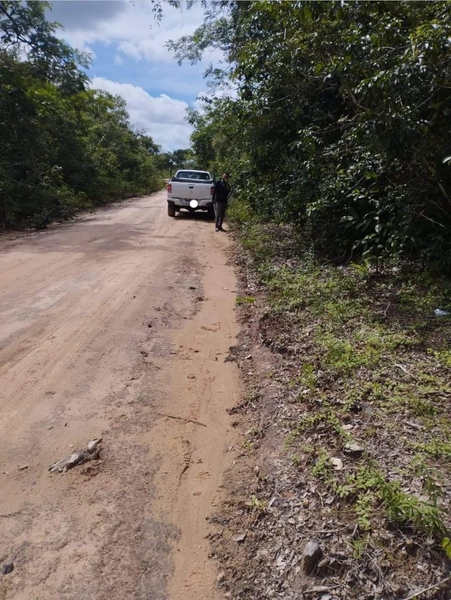 Mega Fazenda em Caxias-MA: 4ª foto da galeria de imagens do imóvel