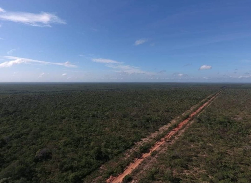 Mega Fazenda em Caxias-MA: 1ª foto da galeria de imagens do imóvel
