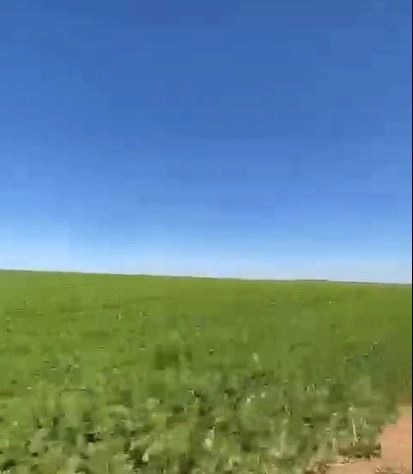 Fazenda à venda, 724,50 alq. (3.507 Ha), em Cristalina-GO, com pivôs.: 7ª foto da galeria de imagens do imóvel