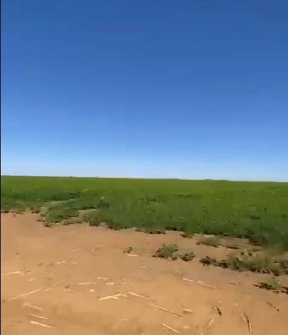 Fazenda à venda, 724,50 alq. (3.507 Ha), em Cristalina-GO, com pivôs.: 8ª foto da galeria de imagens do imóvel