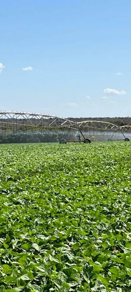 Fazenda à venda, 724,50 alq. (3.507 Ha), em Cristalina-GO, com pivôs.: 24ª foto da galeria de imagens do imóvel