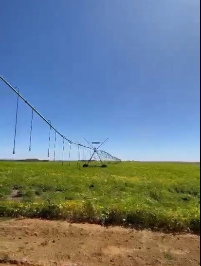 Fazenda à venda, 724,50 alq. (3.507 Ha), em Cristalina-GO, com pivôs.: 2ª foto da galeria de imagens do imóvel