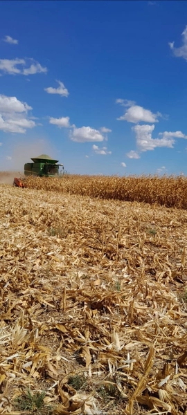 Fazenda à venda, 724,50 alq. (3.507 Ha), em Cristalina-GO, com pivôs.: 15ª foto da galeria de imagens do imóvel