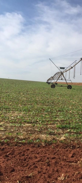 Fazenda à venda, 724,50 alq. (3.507 Ha), em Cristalina-GO, com pivôs.: 23ª foto da galeria de imagens do imóvel