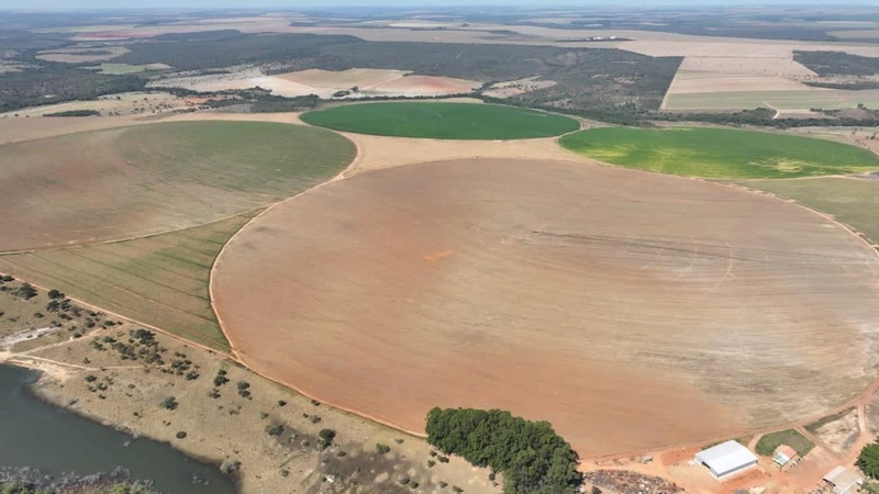MEGA FAZENDA PARA SOJA EM UNAÍ-MG * COM 8 PIVÔS CAFÉ – SOJA – LARANJA: 5ª foto da galeria de imagens do imóvel