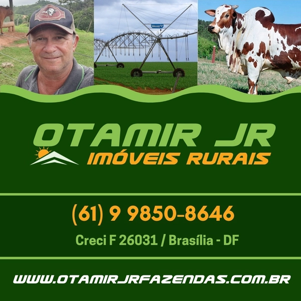ÁREA PARA RESERVA LEGAL GOIÁS-MINAS: 2ª foto da galeria de imagens do imóvel