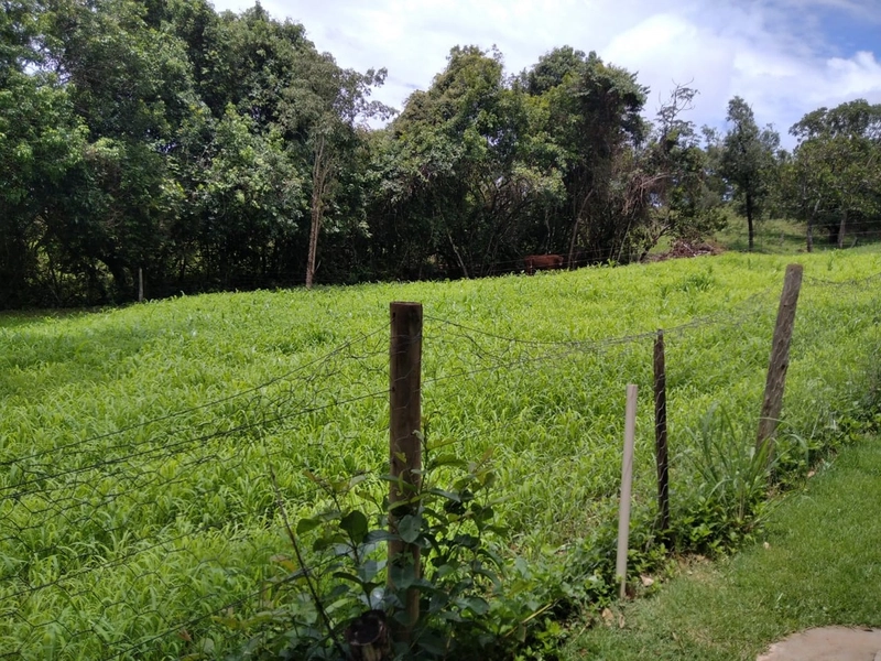 Fazenda a venda em Goiás - Rio Quente - PORTEIRA FECHADA: 3ª foto da galeria de imagens do imóvel