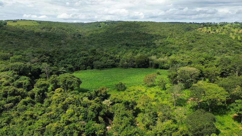 Fazenda a venda em Goiás - Rio Quente - PORTEIRA FECHADA: 7ª foto da galeria de imagens do imóvel