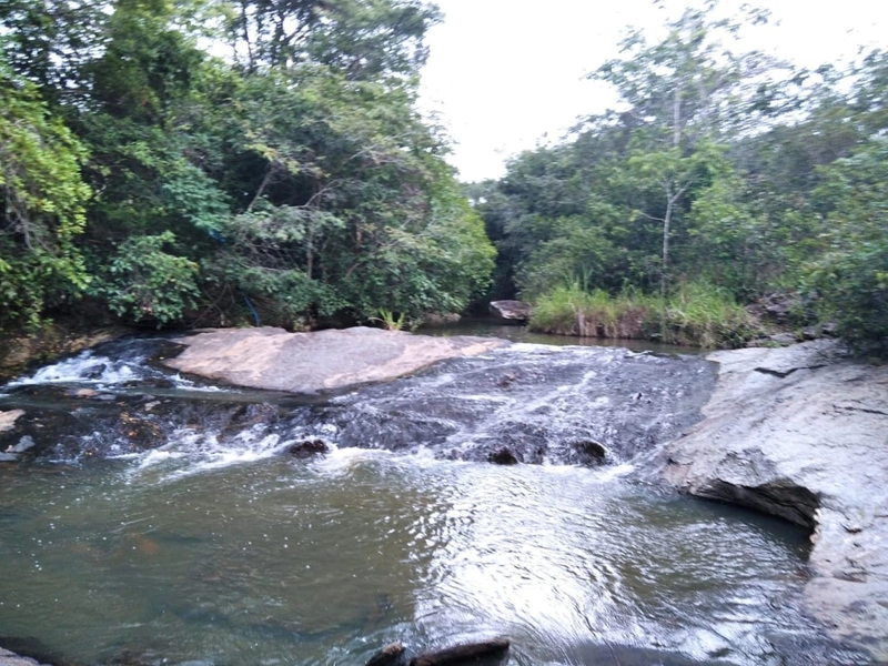 Fazenda a venda em Goiás - Rio Quente - PORTEIRA FECHADA: 1ª foto da galeria de imagens do imóvel