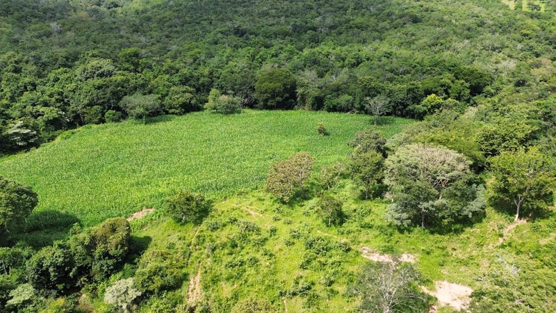 Fazenda a venda em Goiás - Rio Quente - PORTEIRA FECHADA: 4ª foto da galeria de imagens do imóvel