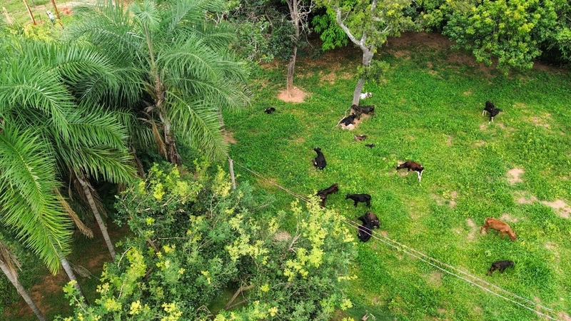 Fazenda a venda em Goiás - Rio Quente - PORTEIRA FECHADA: 18ª foto da galeria de imagens do imóvel
