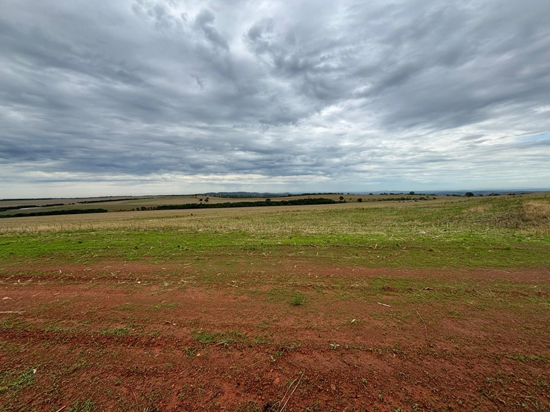Fazenda em Goiás para SOJA - Piracanjuba-GO: 17ª foto da galeria de imagens do imóvel