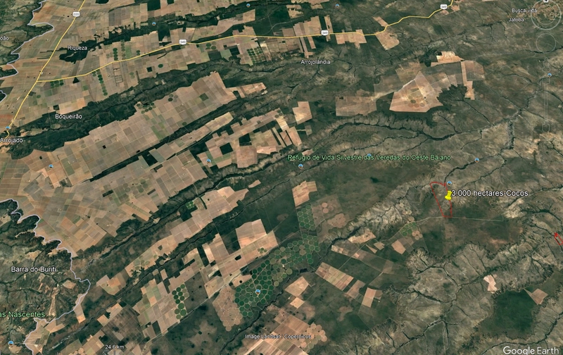 Fazenda à venda - No oeste baiano - Para AGRICULTURA: 1ª foto da galeria de imagens do imóvel
