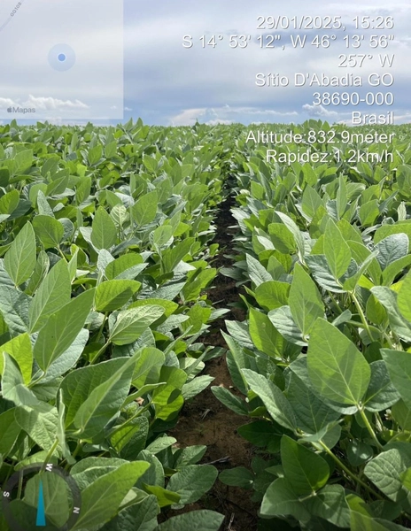 Fazenda para LAVOURA à venda em Goiás - Sítio d'Abadia: 1ª foto da galeria de imagens do imóvel