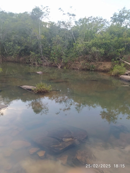 Fazenda à venda, 56 ha, em Buritis-MG. 25 ha plantando SOJA E MIlho: 11ª foto da galeria de imagens do imóvel