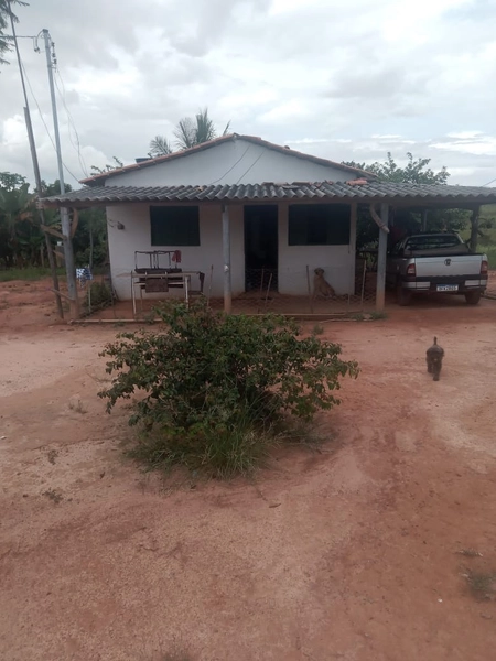 Fazenda à venda, 56 ha, em Buritis-MG. 25 ha plantando SOJA E MIlho: 10ª foto da galeria de imagens do imóvel