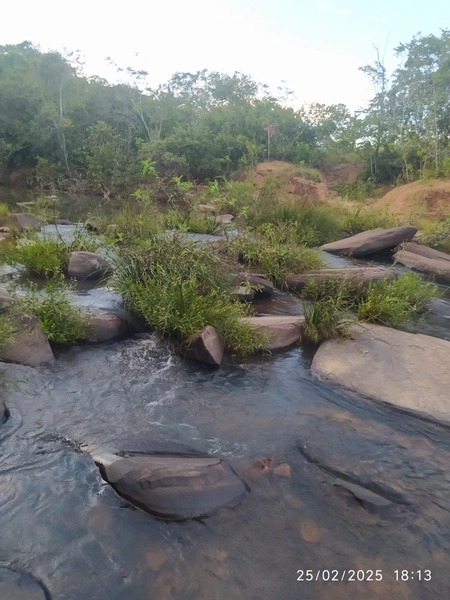 Fazenda à venda, 56 ha, em Buritis-MG. 25 ha plantando SOJA E MIlho: 3ª foto da galeria de imagens do imóvel