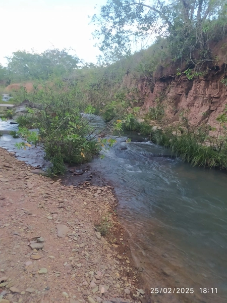 Fazenda à venda, 56 ha, em Buritis-MG. 25 ha plantando SOJA E MIlho: 12ª foto da galeria de imagens do imóvel
