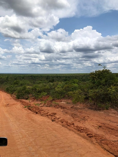 GRANDE ÁREA PARA AGRICULTURA | 28.896 hectares | Bonito de Minas-MG: 1ª foto da galeria de imagens do imóvel