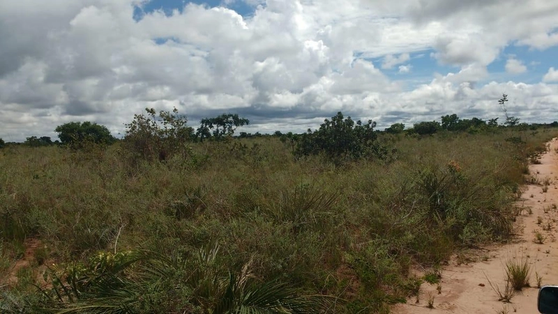GRANDE ÁREA PARA AGRICULTURA | 28.896 hectares | Bonito de Minas-MG: 3ª foto da galeria de imagens do imóvel