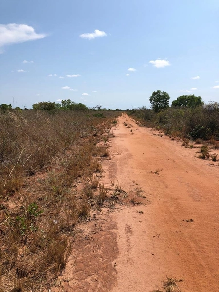 GRANDE ÁREA PARA AGRICULTURA | 28.896 hectares | Bonito de Minas-MG: 4ª foto da galeria de imagens do imóvel