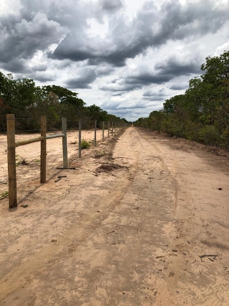 GRANDE ÁREA PARA AGRICULTURA | 28.896 hectares | Bonito de Minas-MG: 2ª foto da galeria de imagens do imóvel