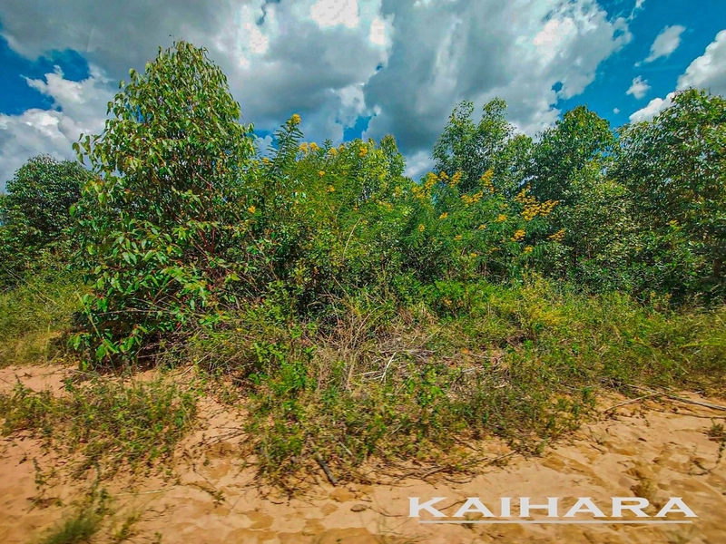 GRANDE ÁREA PARA AGRICULTURA | 28.896 hectares | Bonito de Minas-MG: 16ª foto da galeria de imagens do imóvel