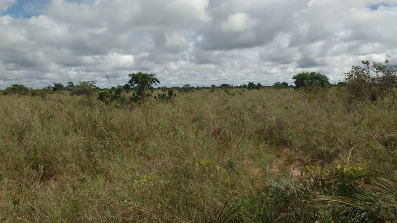 GRANDE ÁREA PARA AGRICULTURA | 28.896 hectares | Bonito de Minas-MG: 13ª foto da galeria de imagens do imóvel